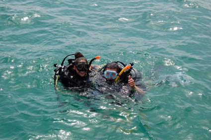 The corals of Ras Al Khaimah